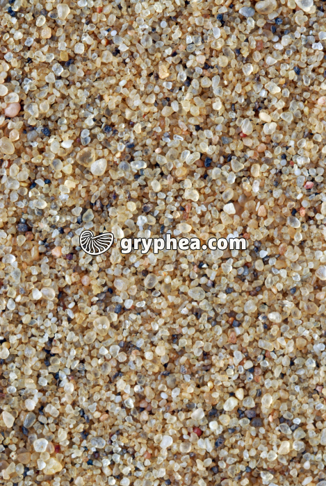 Sable - Dune d'Assouan (Assouan, Egypte) x2 - gryphea.com